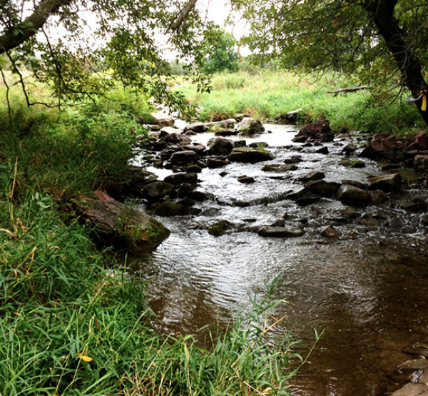 Pipestone 2