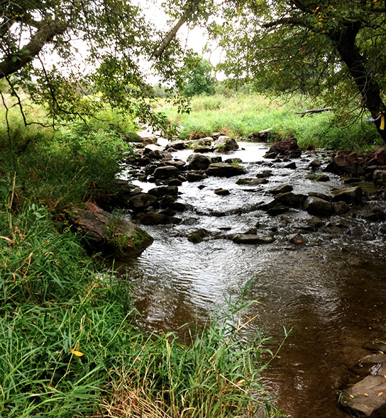 Pipestone 2